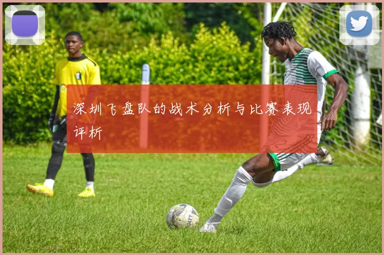 深圳飞盘队的战术分析与比赛表现评析