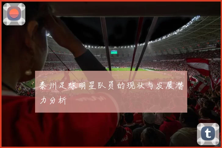 泰州足球明星队员的现状与发展潜力分析