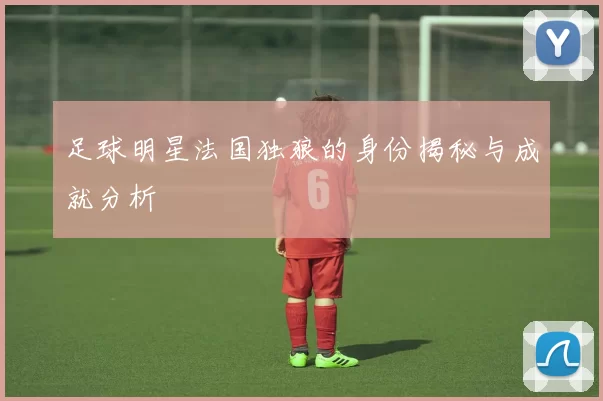 足球明星法国独狼的身份揭秘与成就分析