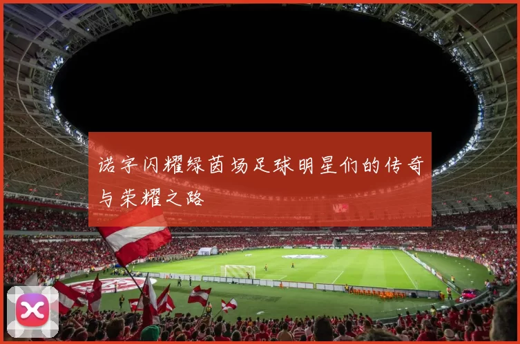 诺字闪耀绿茵场足球明星们的传奇与荣耀之路