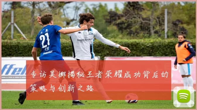 专访吴娜揭秘王者荣耀成功背后的策略与创新之路