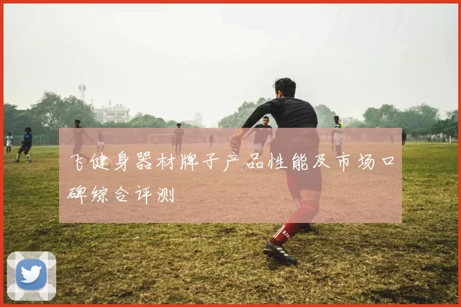 飞健身器材牌子产品性能及市场口碑综合评测