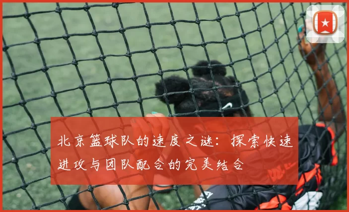 北京篮球队的速度之谜：探索快速进攻与团队配合的完美结合