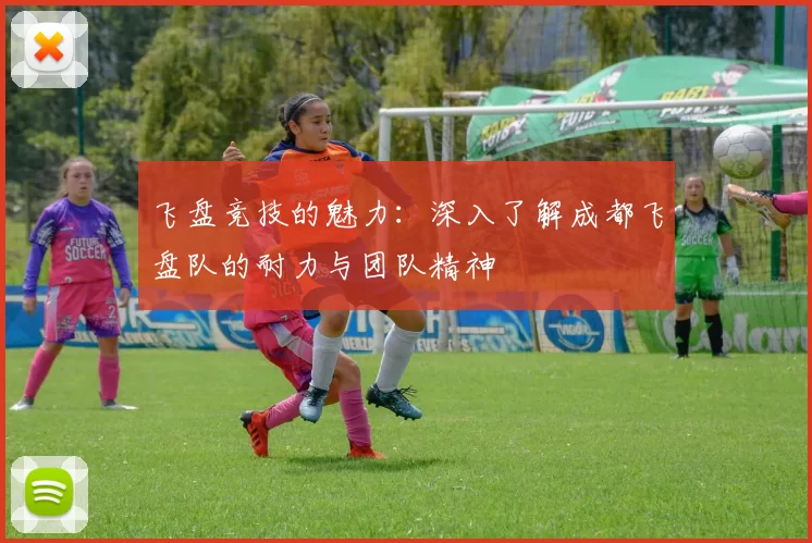 飞盘竞技的魅力：深入了解成都飞盘队的耐力与团队精神