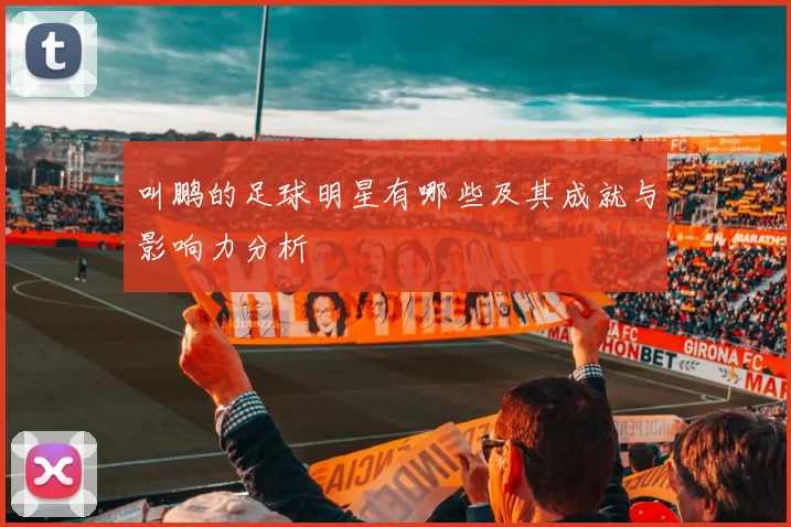 叫鹏的足球明星有哪些及其成就与影响力分析