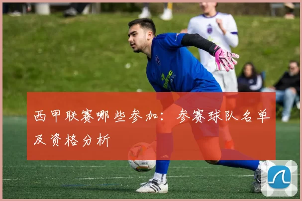 西甲联赛哪些参加：参赛球队名单及资格分析