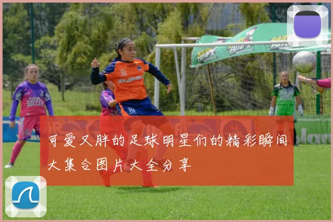 可爱又胖的足球明星们的精彩瞬间大集合图片大全分享
