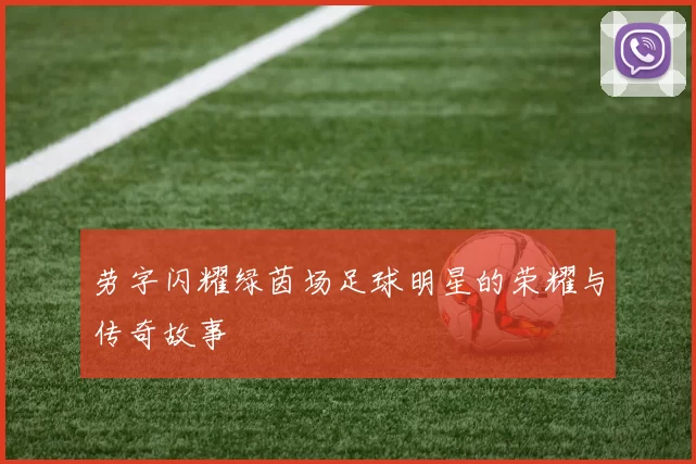 劳字闪耀绿茵场足球明星的荣耀与传奇故事