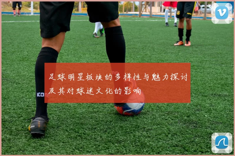 足球明星板块的多样性与魅力探讨及其对球迷文化的影响