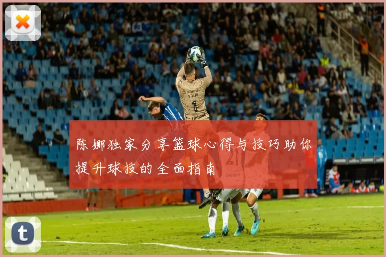 陈娜独家分享篮球心得与技巧助你提升球技的全面指南