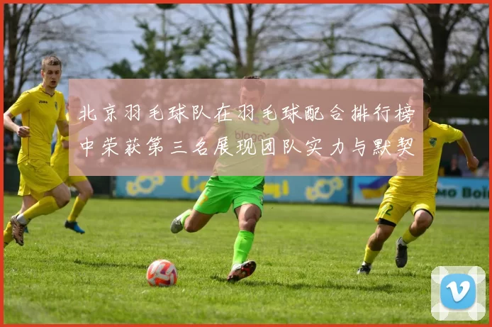 北京羽毛球队在羽毛球配合排行榜中荣获第三名展现团队实力与默契