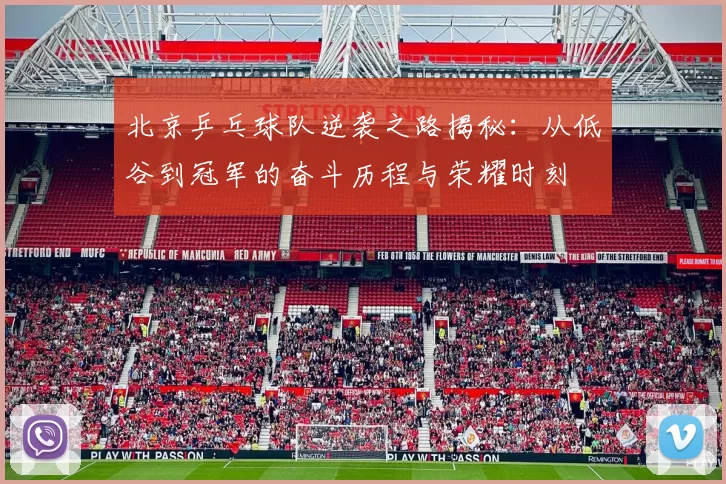 北京乒乓球队逆袭之路揭秘：从低谷到冠军的奋斗历程与荣耀时刻