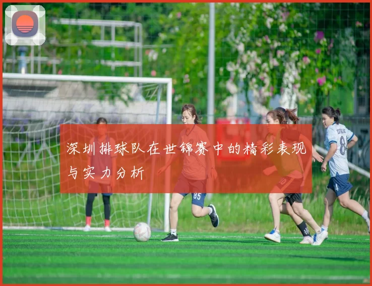 深圳排球队在世锦赛中的精彩表现与实力分析