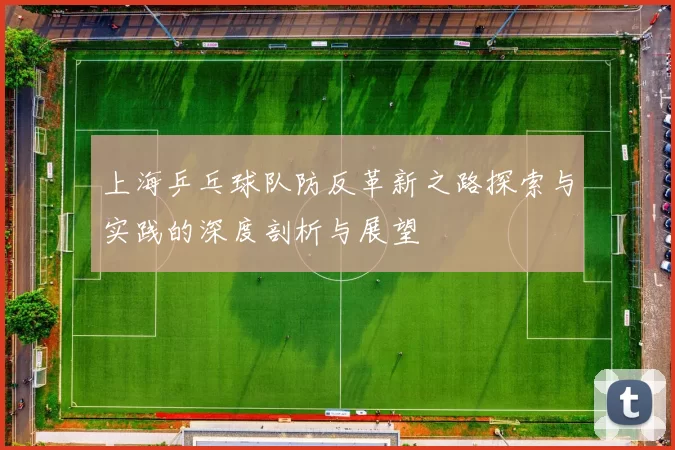 上海乒乓球队防反革新之路探索与实践的深度剖析与展望