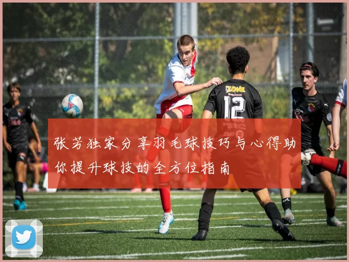 张芳独家分享羽毛球技巧与心得助你提升球技的全方位指南