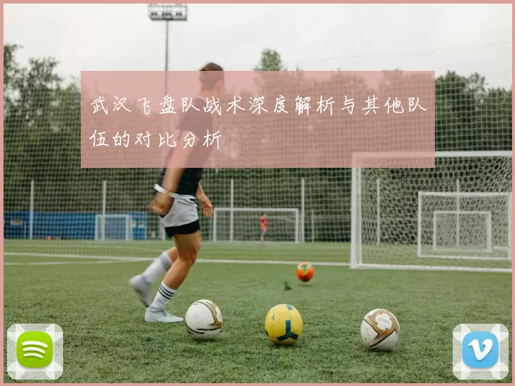 武汉飞盘队战术深度解析与其他队伍的对比分析